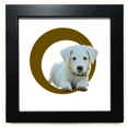 thumbnail image 1 of crouching dog white pet black square frame picture wall tabletop, 1 of 3