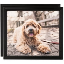 ArtToFrames 11" x 14" Black Picture Frame, 11x14 inch Black MDF Poster Frame (WOM-4102), 2 Pack