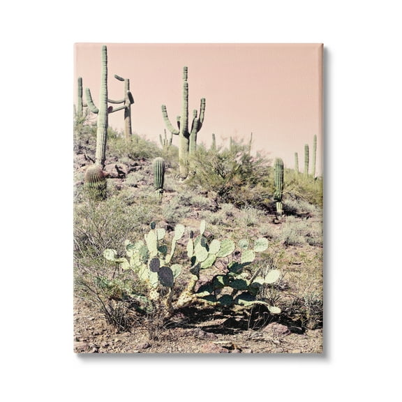 Stupell Industries Summer Dessert Landscape Cactus Prickly Pear Pink Sky, 24 x 30, Design by Susan Bryant
