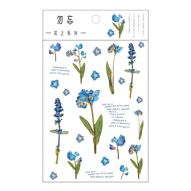 Journamm 12 calcomanías Transparentes De Flores De margaritas naturales De margaritas para mascotas suministros De Flores hojas De Plantas