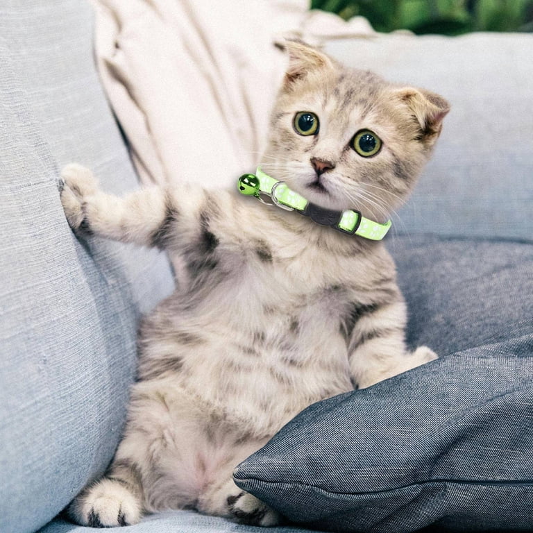 safe cat fashion cat collar