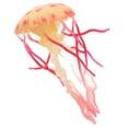 thumbnail image 2 of Milisten Simulation Marine Model Jellyfish Model Yard Water Creature Toy for Kids Ocean Toy for Kids, 2 of 5