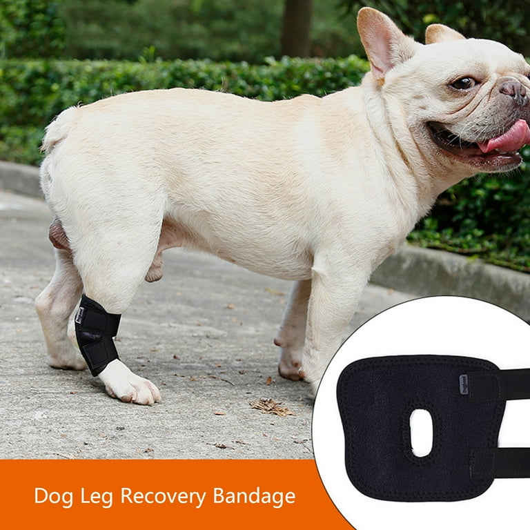 Dog leg top bandage protector