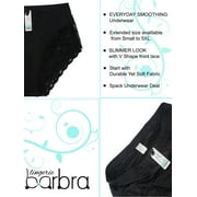 Barbra Women's Panties Light Control Lace Briefs Small to Plus Sizes Multi-Pack