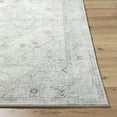 thumbnail image 4 of Hauteloom Tyche Living Room, Bedroom Area Rug - Traditional - High Pile - Light Silver, Sterling Gray, Metallic Silver - 5'3" x 7', 4 of 8