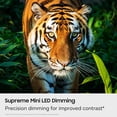 thumbnail image 4 of Samsung 43-Inch Mini LED 4K HDR Smart TV with AI Vision Companion, Pure Spectrum Color, 4K Upscaling and Motion Xcelerator Bundle with with Deco Essentials 1YR Extended Protection, HDMI Cable & Guide, 4 of 11
