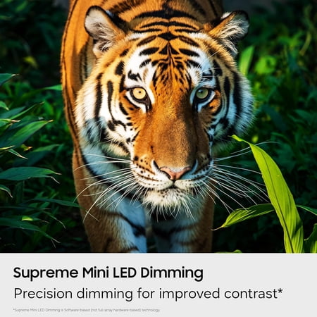 Image not found