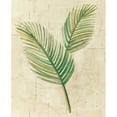 thumbnail image 3 of Hristova, Albena 15x18 Black Modern Framed Museum Art Print Titled - Sago Palm Leaves Neutral Crop, 3 of 5