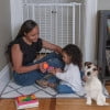 thumbnail image 4 of Ingenuity Ozzy & Kazoo Extra Tall Walk -Through Safety Gate (White), 4 of 8