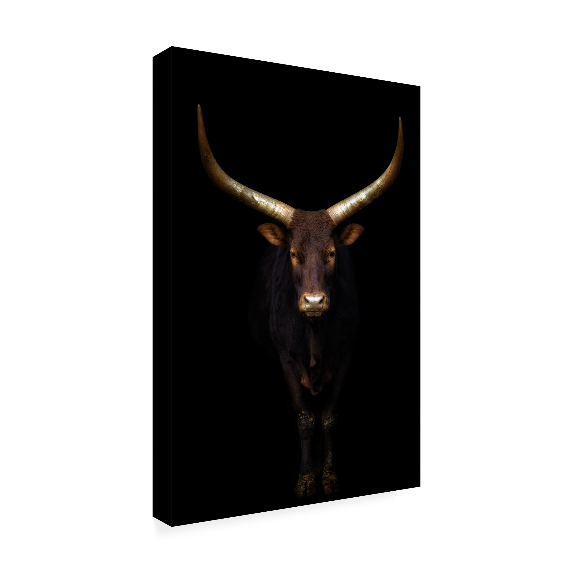 Sergio Saavedra Ruiz 'Intimate' Canvas Art