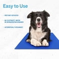 thumbnail image 4 of Alfombrilla de gel Cooling Pad The Green Pet Shop Chillz para mascotas, 4 of 6