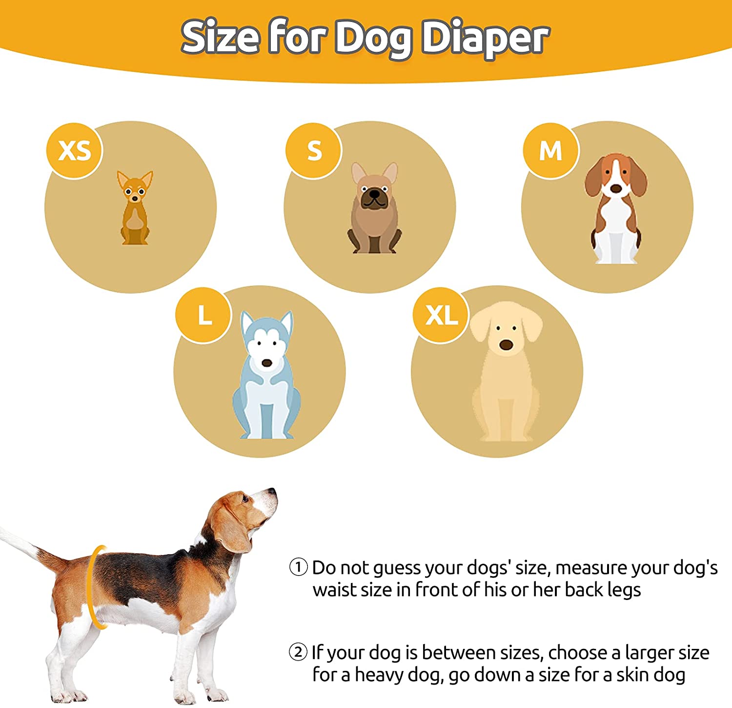 Ludlz Washable Female Dog Diapers, Reusable Doggie Diaper Wraps for ...