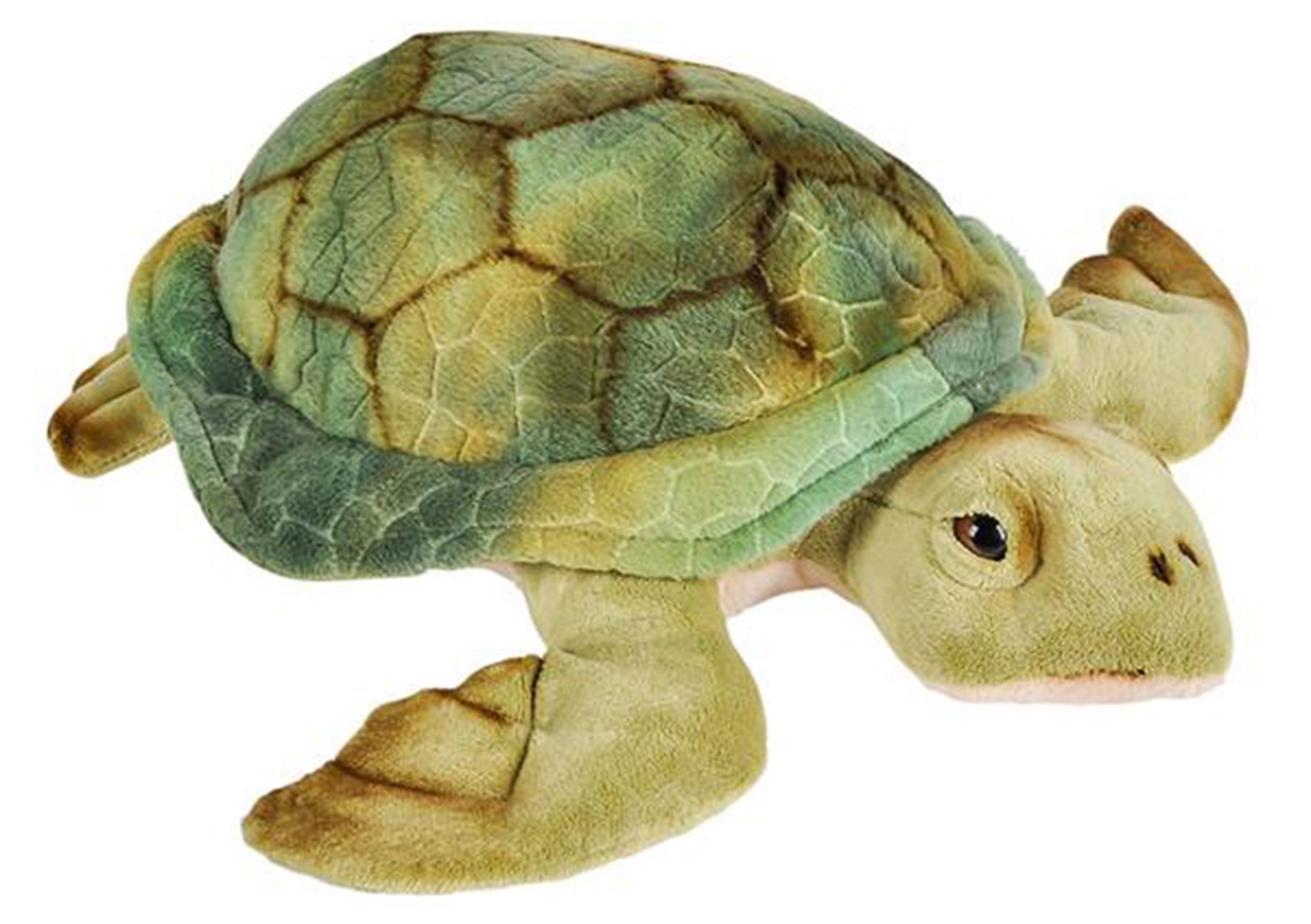 plush sea turtle