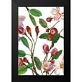 thumbnail image 2 of Wang, Melissa 13x18 Black Modern Framed Museum Art Print Titled - Malus Melliana II, 2 of 5