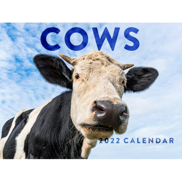 Cow Calendar 2023 Monthly Wall Hanging Calendars Farm Animals Cute