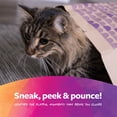 thumbnail image 6 of SmartyKat Catnip Caves Paper Bag Cat Toys, Scratch Activated Catnip Scent, 2 count, 6 of 10