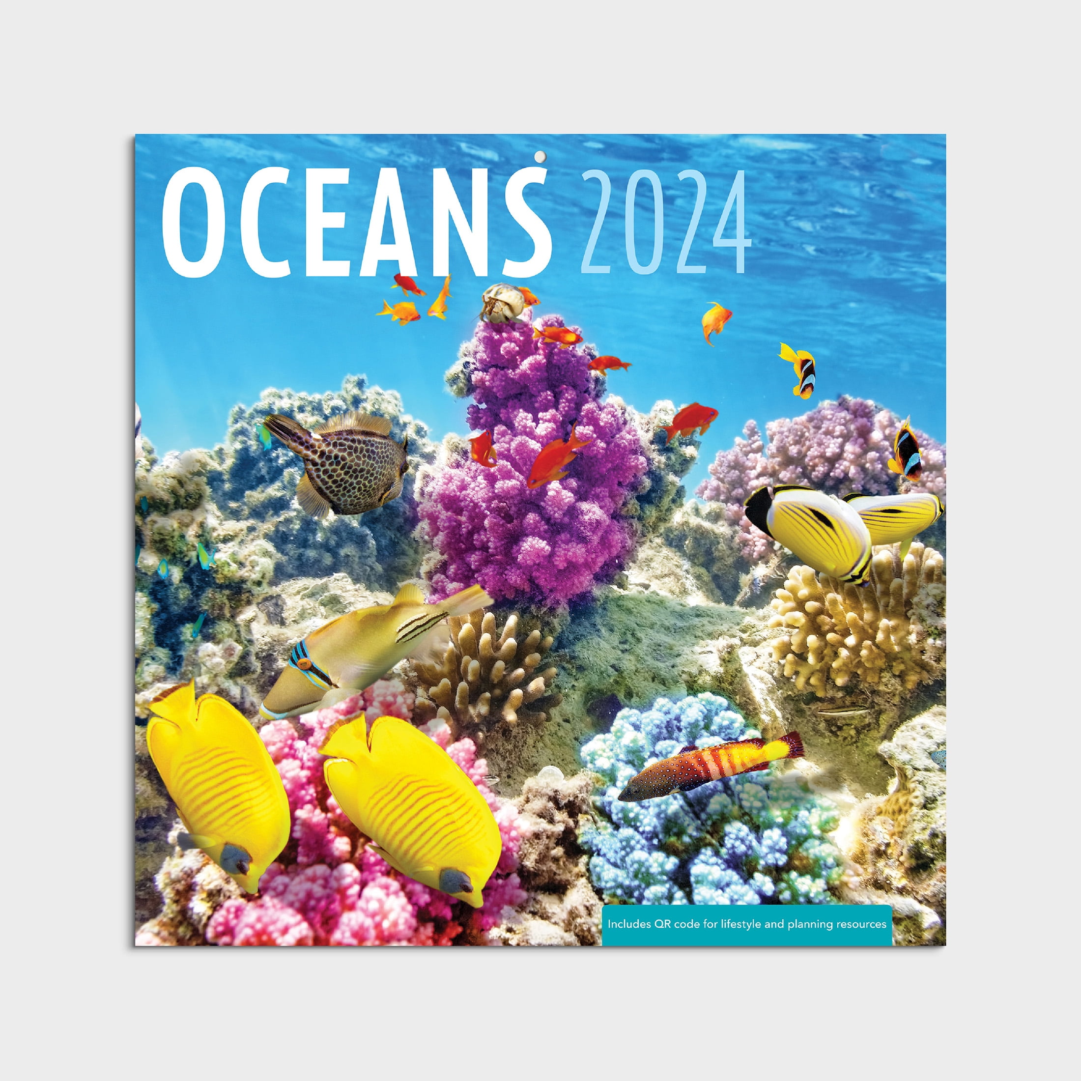 202412 Month Calendar Oceans 12x12 Hanging Wall Calendar by DaySpring