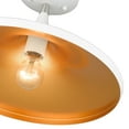 thumbnail image 5 of Livex Lighting - Waldorf - 1 Light Semi-Flush Mount In Industrial Style-8.5, 5 of 13