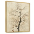 thumbnail image 2 of Designart "American Basswood Tree In Gold And Beige I" Tree Amercian Basswood Floater Framed Canvas Prints, 2 of 5