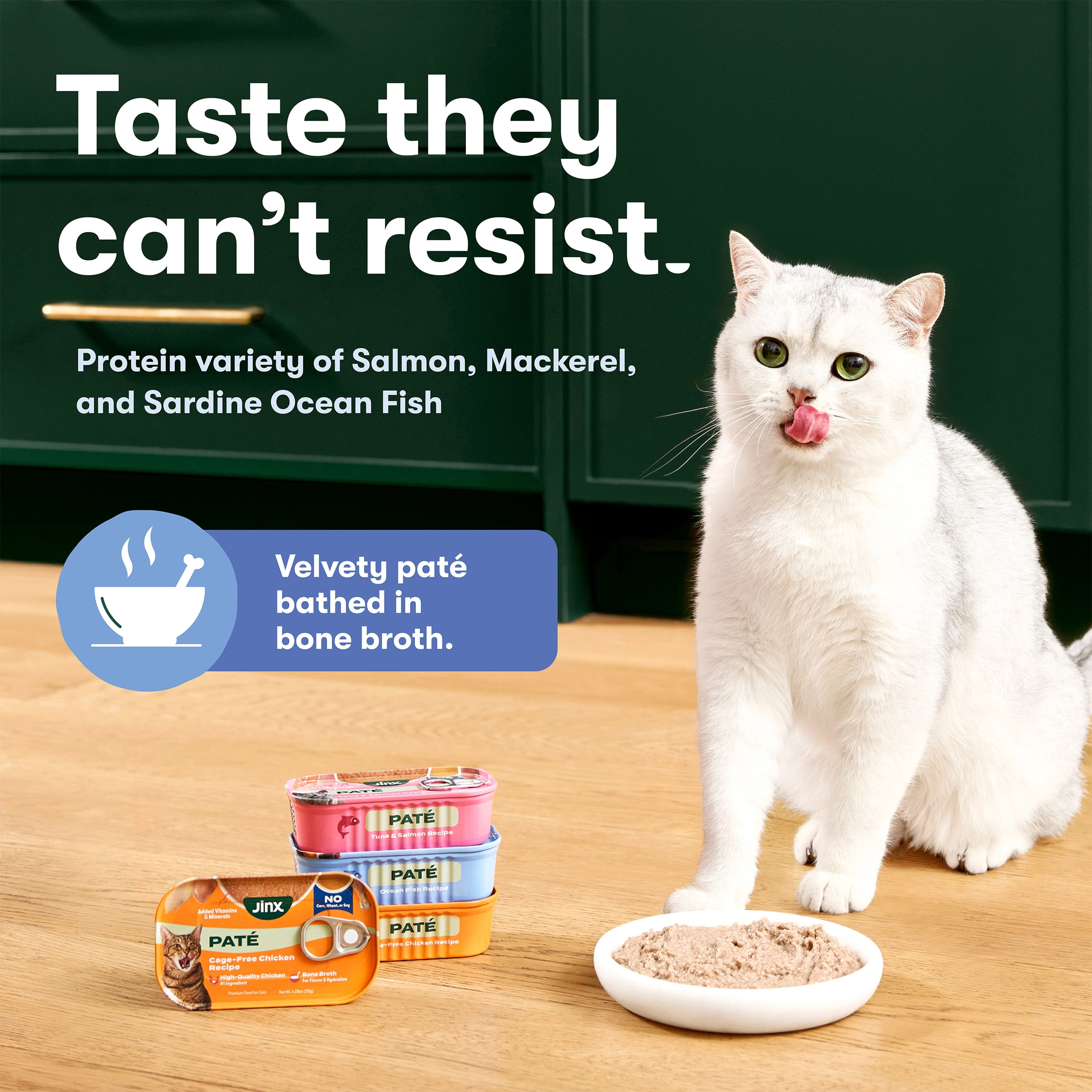 (24 pack) Jinx Ocean Fish Paté Cat Wet Food, 4.05 oz Can