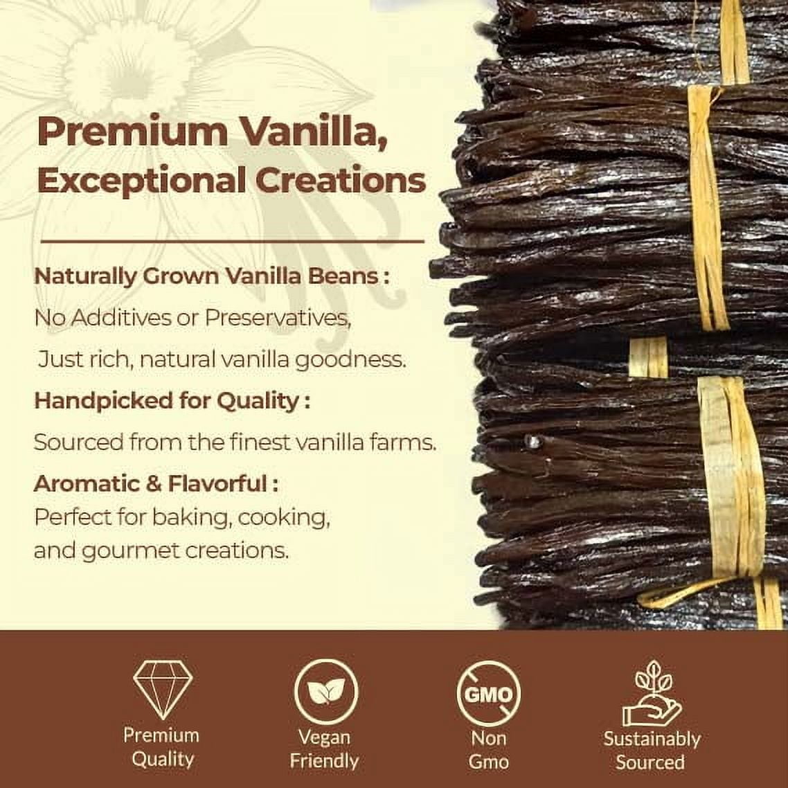 25 Vanilla Beans Grade a+, Whole Vanilla  Bean Pods for  Making Extract &  Baking, 6-8 inches,  Non-GMO. by Akshit