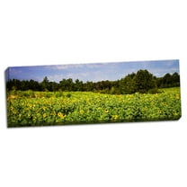 Gango Home Decor Contemporary Sunflower Fields II by Alan Hausenflock (Ready to Hang); One 20x8in Hand-Stretched Canvas