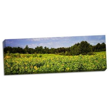 Gango Home Decor Contemporary Sunflower Fields II by Alan Hausenflock (Ready to Hang); One 20x8in Hand-Stretched Canvas