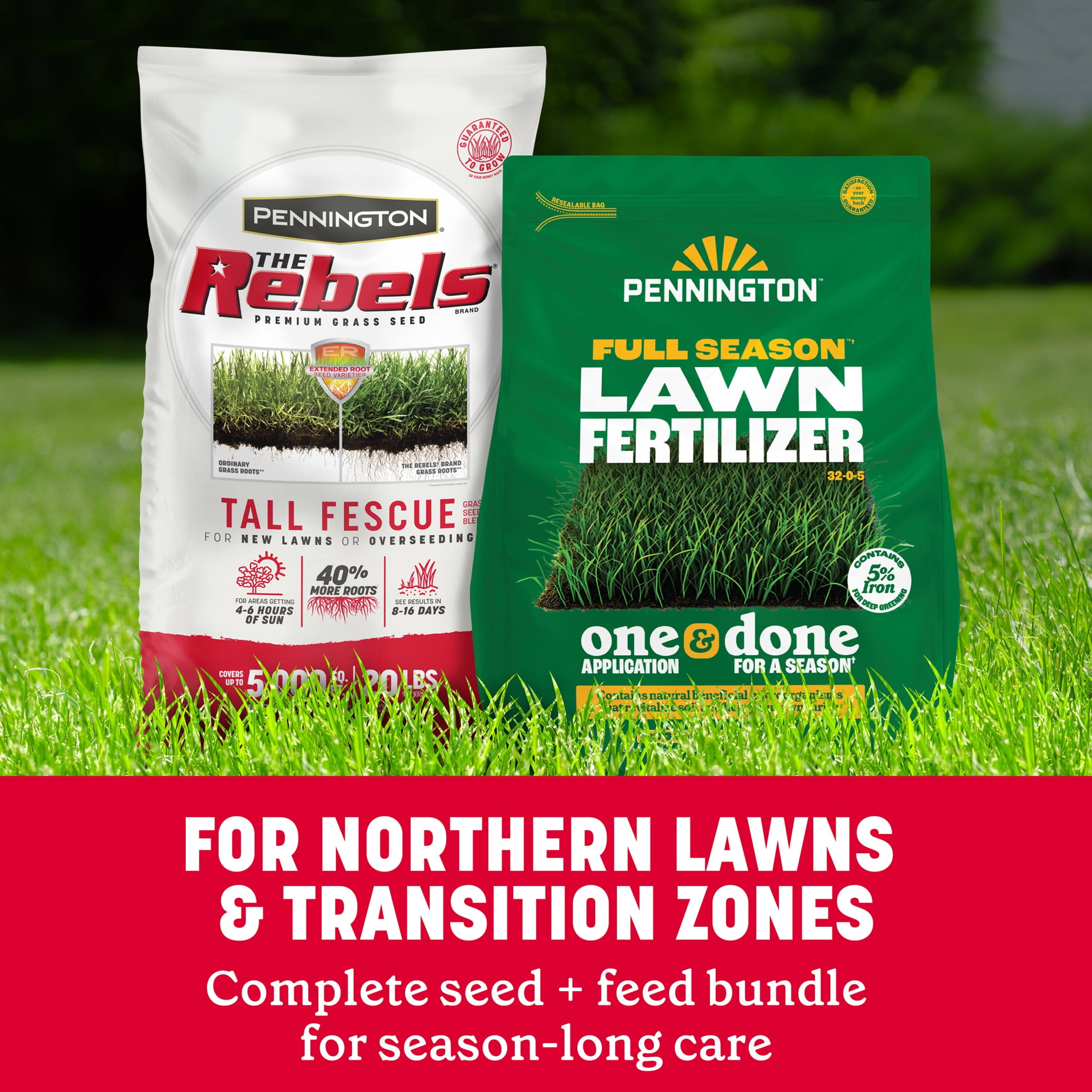Pennington 20lb Rebels Tall Fescue & 33.6lb Full Season Lawn Fertilizer Bundle 20 Pounds