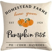 Pumpkin Patch Pillow Covers Autumn Harvest Pumpkin Pattern Cushion Cover Farmhouse Autumn Thanksgiving Home Decorations