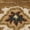 Gold/Beige, variant on SAFAVIEH Classic Eleanora Oriental Wool Area Rug, Gold/Beige, 5' x 8'