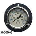 thumbnail image 2 of 1 Pc For Yn-60Zt Axial Edge Seismic Pressure Gauge Oil Pressure Hydraulic Meter 0-250Kg Fangkenuo, 2 of 9