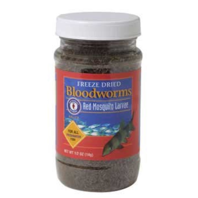 download freeze dried bloodworms download freeze dried bloodworms