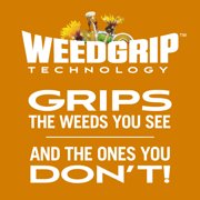 Scotts Turf Builder WinterGuard Fall Weed & Feed5, 11.28 lbs.