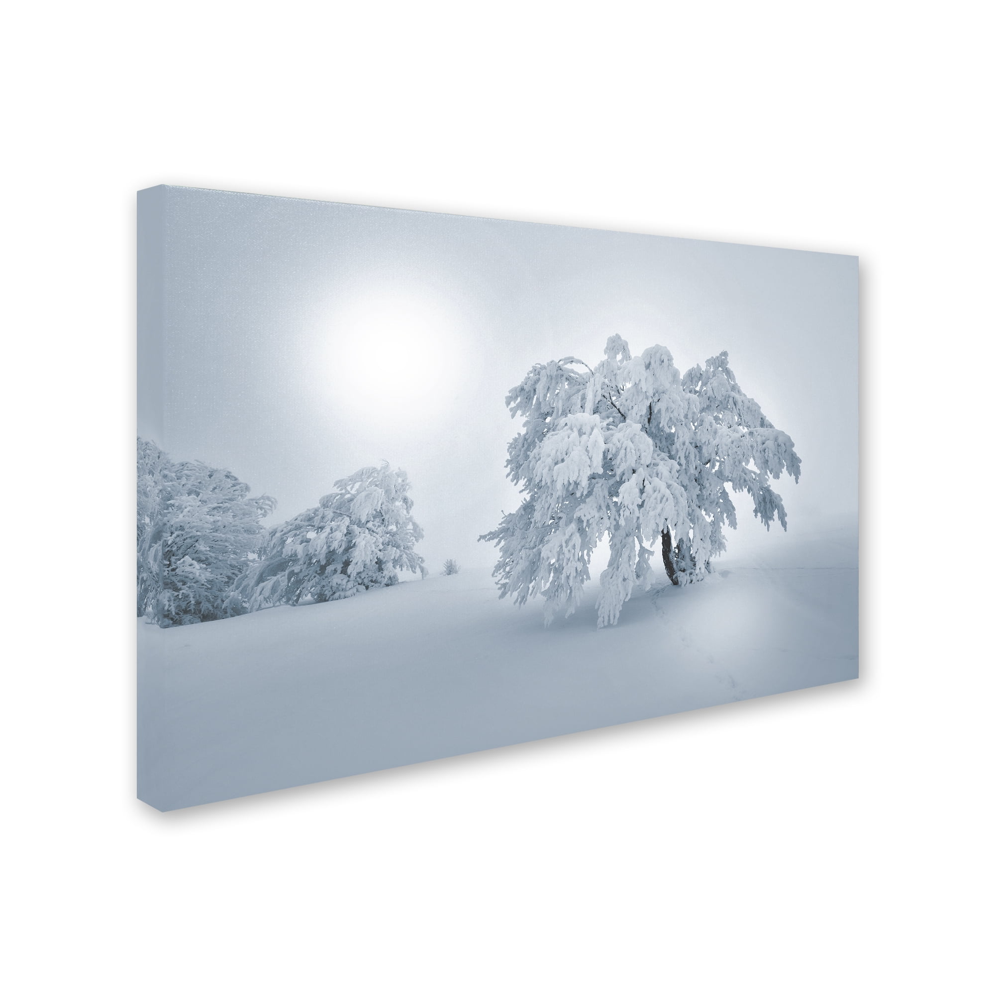 Trademark Fine Art 'A Cold Winter Morning' Canvas Art by Philippe Sainte-Laudy