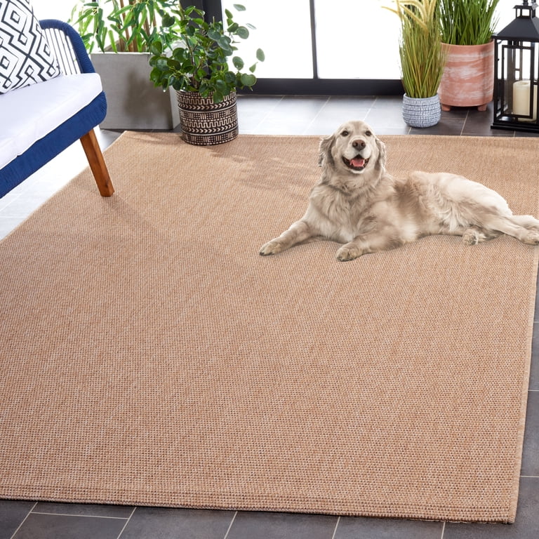 SAFAVIEH Sisal All-Weather Daragh Solid Indoor/Outdoor Area Rug