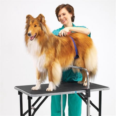 UPC: 0721343206255 | Petedge TP206 25 Master Equipment Grooming Support Adjustable Q