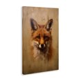 thumbnail image 3 of Stupell Industries Farmhouse Woodland Fox Face Canvas Art, 16 x 24, by Petals Prints Design, 3 of 8