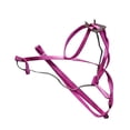 thumbnail image 3 of Methold Pet Bird Chaleco Correa Volar al aire libre Anti-mordedura Nylon Ajustable Bird Training Walking Leash Rope Aseo de mascotas rosa, 3 of 6