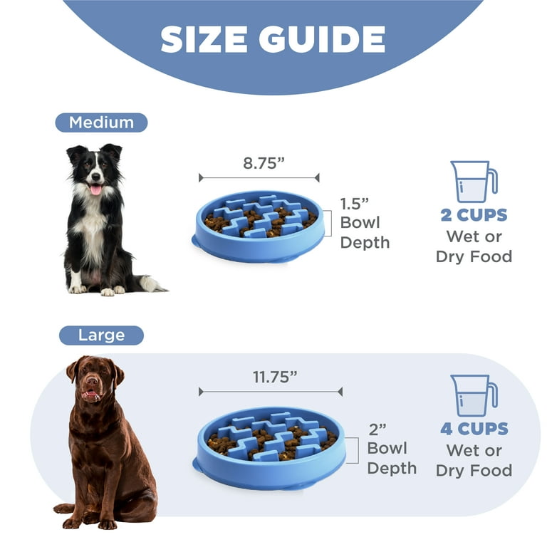 wet food for older cats Weruva Senior Timeless Tails Variety Pack Wet Cat Food, 5.5 oz, Count of 12 main image 1