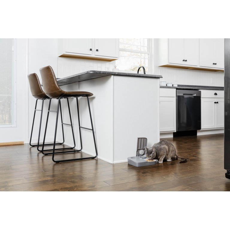 Analog 2-Meal Programmable Pet Feeder photo 4