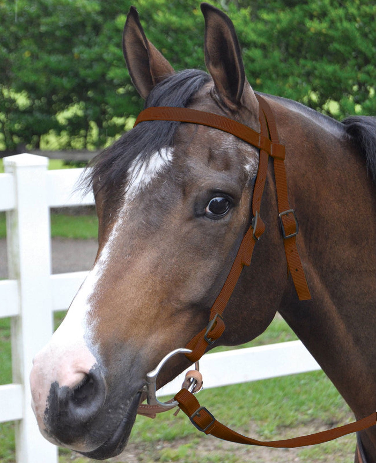 Strong Double Nylon Web Horse Bridle With Rubber Reins F/C/P/S Black/Brown VEGAN 