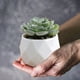 thumbnail image 4 of Mini Suculenta Artificial En Maceta de Plástico | Plantas Artificiales para Decoración de Oficina y Hogar | Plantas Artificiales de Interior para Escritorio, Estantería o Mesa | Juego de 1 Multicolor, 4 of 6