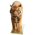 thumbnail image 1 of Star Cutouts SC53 Découpe Tigre - 51 x 22 x 1 Po., 1 of 1