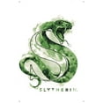 thumbnail image 4 of The Wizarding World: Harry Potter - Slytherin Illustrated House Logo Wall Poster with Push Pins, 22.375" x 34", 4 of 5
