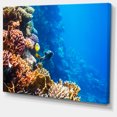 thumbnail image 2 of Beau Poisson Corail de Mer Rouge - Impression sur Toile d'Art de Bord de Mer, 2 of 3