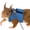 Blue, variant on Winter Poetry Upgrade Small Pet Chest Strap and Leash Set, 3 Sizes S M L Harness with 1.65m Rope, for Squirrels Chipmunks B