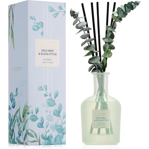 Eucalyptus & Wild Mint Reed Diffuser – 6.76 oz Essential Oil with Sticks & Dried Eucalyptus, Home Fragrance for Bedroom or Bathroom Décor