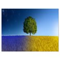 thumbnail image 2 of Tree in Night and Day - Landscape Canvas Art Print, 2 of 3