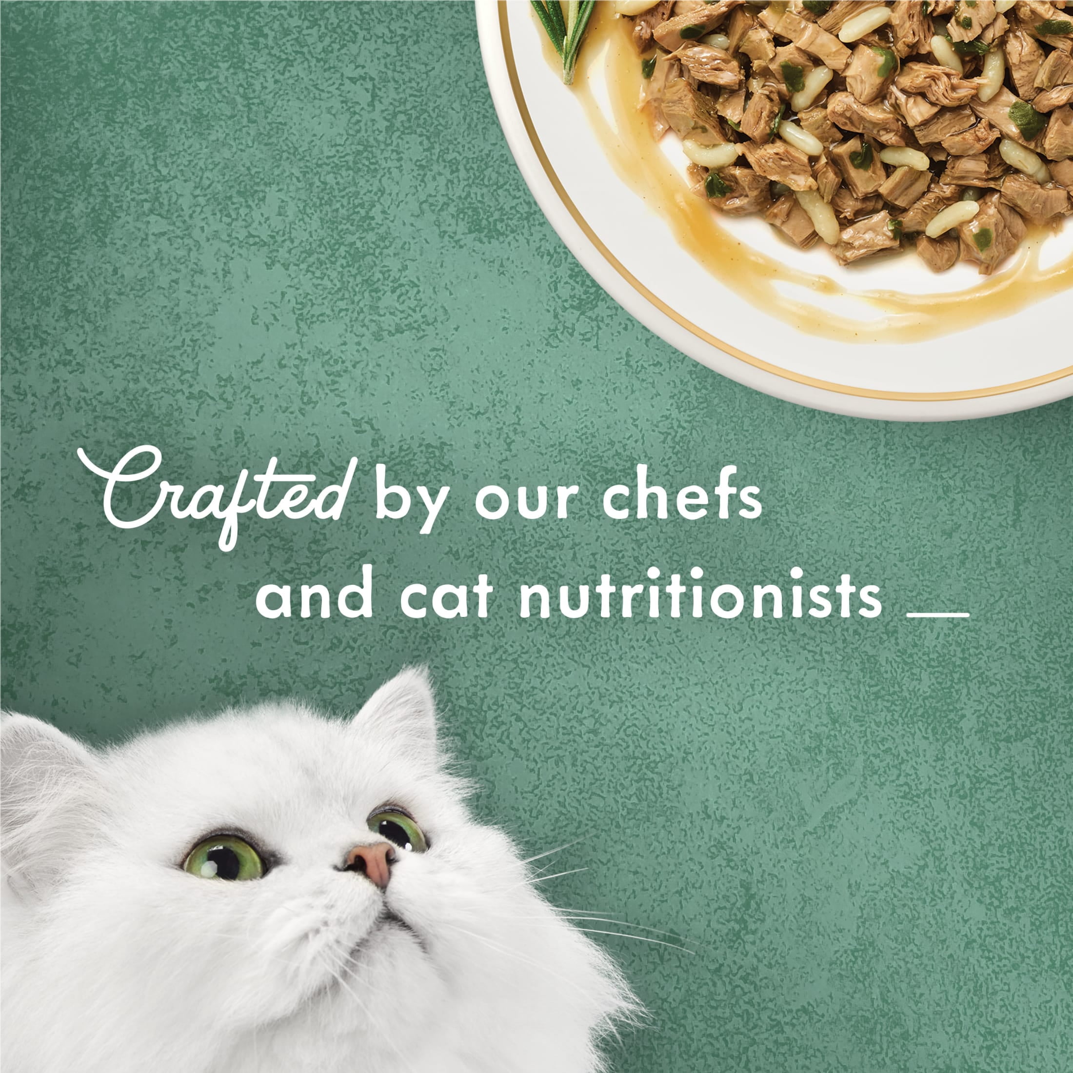 Purina Fancy Feast Medleys Kitten Food, Wet Cat Food, Turkey Tuscany in Spinach, 3 oz Cans, 24 Pack