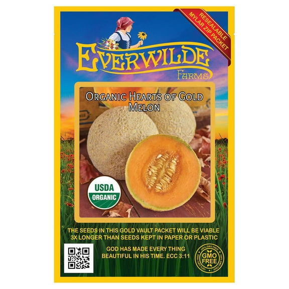 Everwilde Farms - 25 Organic Hearts of Gold Melon Seeds - Gold Vault Jumbo Bulk Seed Packet